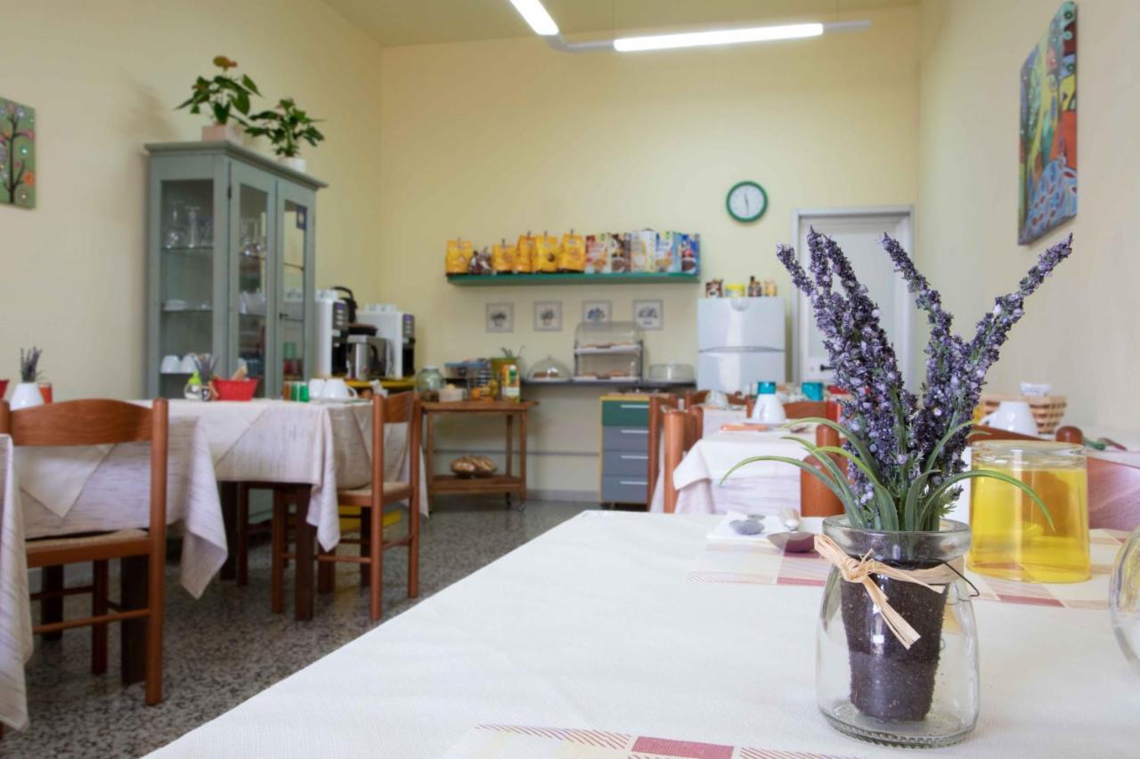 Al Frantoio Maddii Levane Bed And Breakfast Zewnętrze zdjęcie
